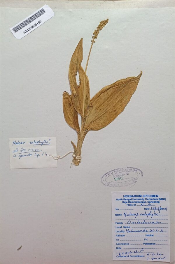 DocScanner 7 Apr 2026 4-13 pm – Copy